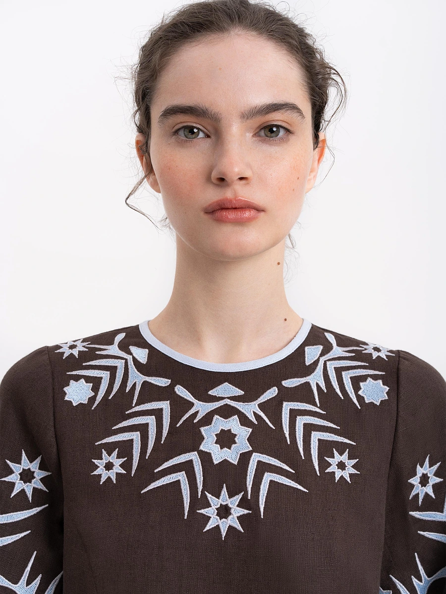 Women's embroidered shirt "Zirka" morning — Brown